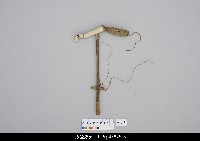 藏品(人形淨琉璃一組-左手)的圖片